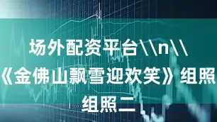 场外配资平台\n\n《金佛山飘雪迎欢笑》组照二