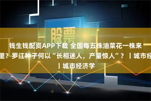 钱生钱配资APP下载 全国每五株油菜花一株来自这里？罗江种子何以“长相迷人，产量惊人”？丨城市经济学