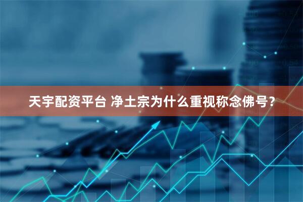 天宇配资平台 净土宗为什么重视称念佛号？